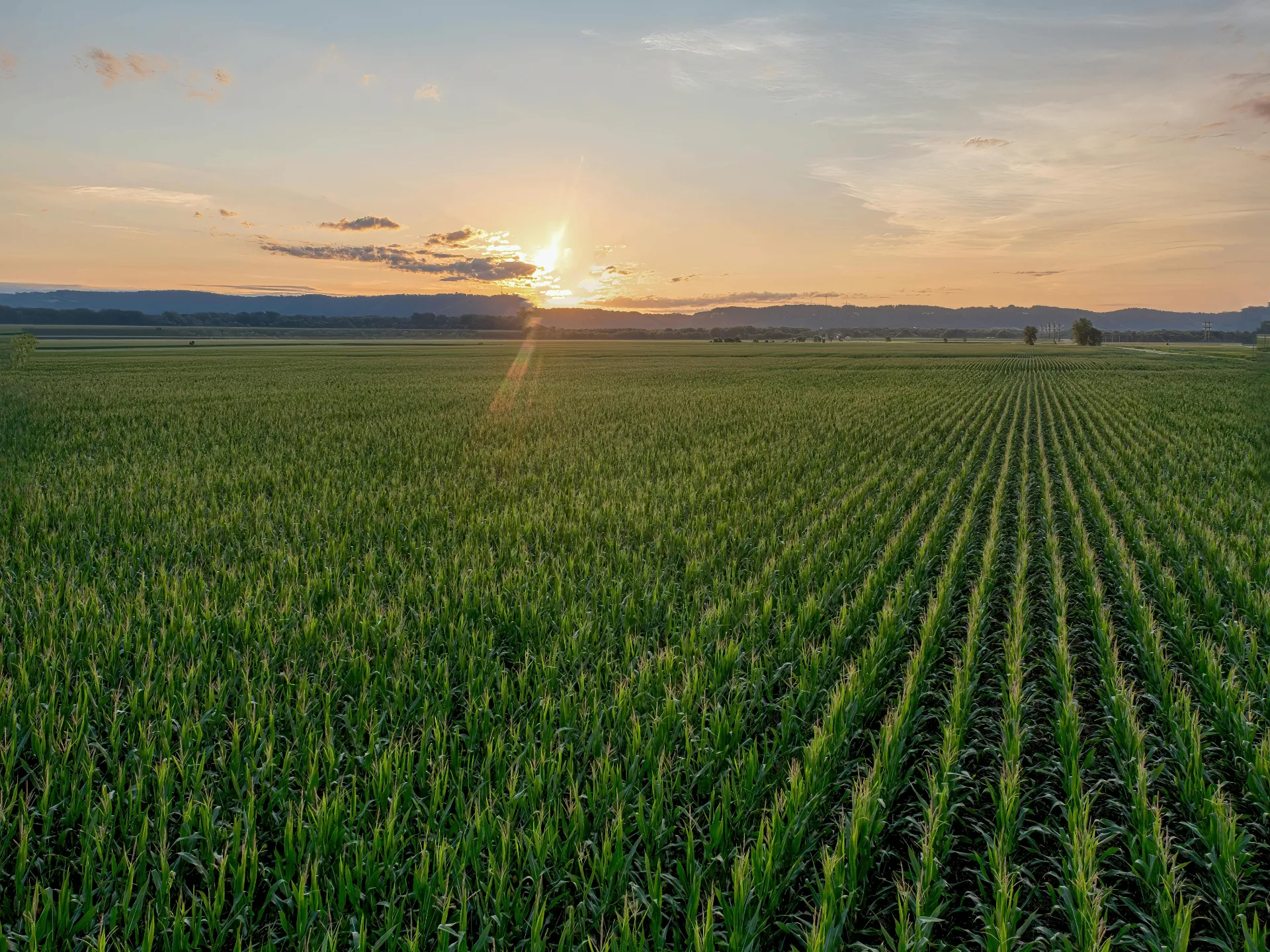 Agricultural crop field served by Chemical Dynamics