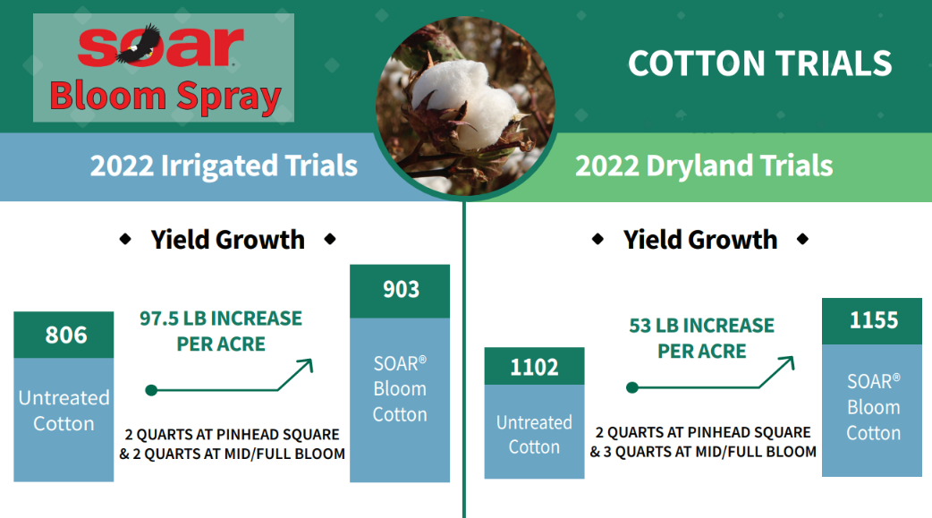 2022 Cotton Research Results