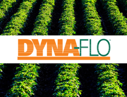 Dyna-Flo 5-15-1: Unleashing the Power of Jungle Juice for Rapid Plant Growth