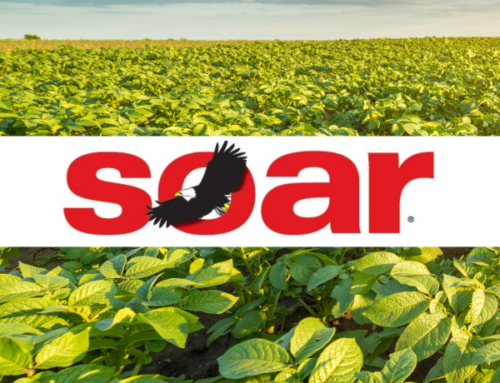 Soar Bloom Spray: A Proprietary Micronutrient from Chemical Dynamics