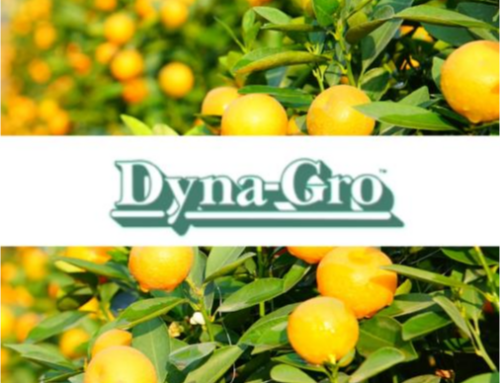 Nurturing Florida Crops with Dyna-Gro: A Sunshine State Solution